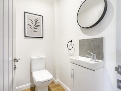 Picture 11